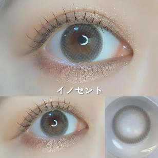COLOR MAJORITY 1Day Innocent カラーマジョリティー イノセント